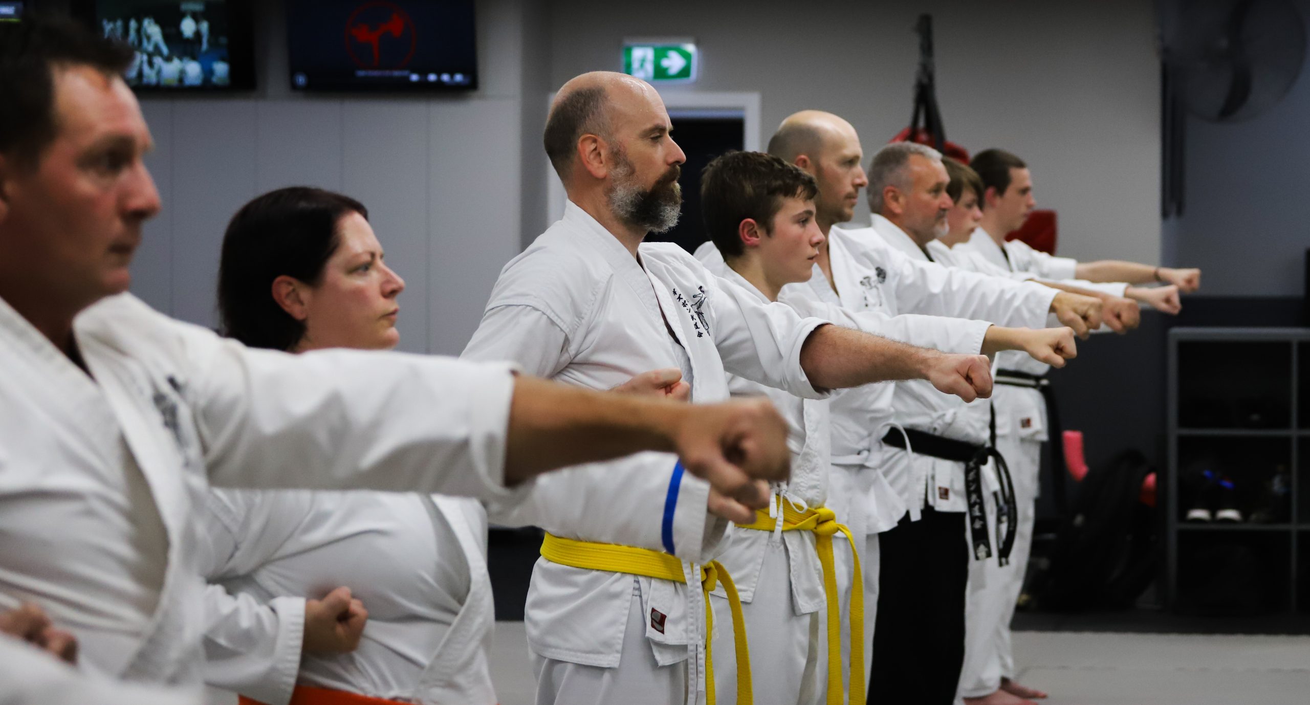 Karate Adults Class 2