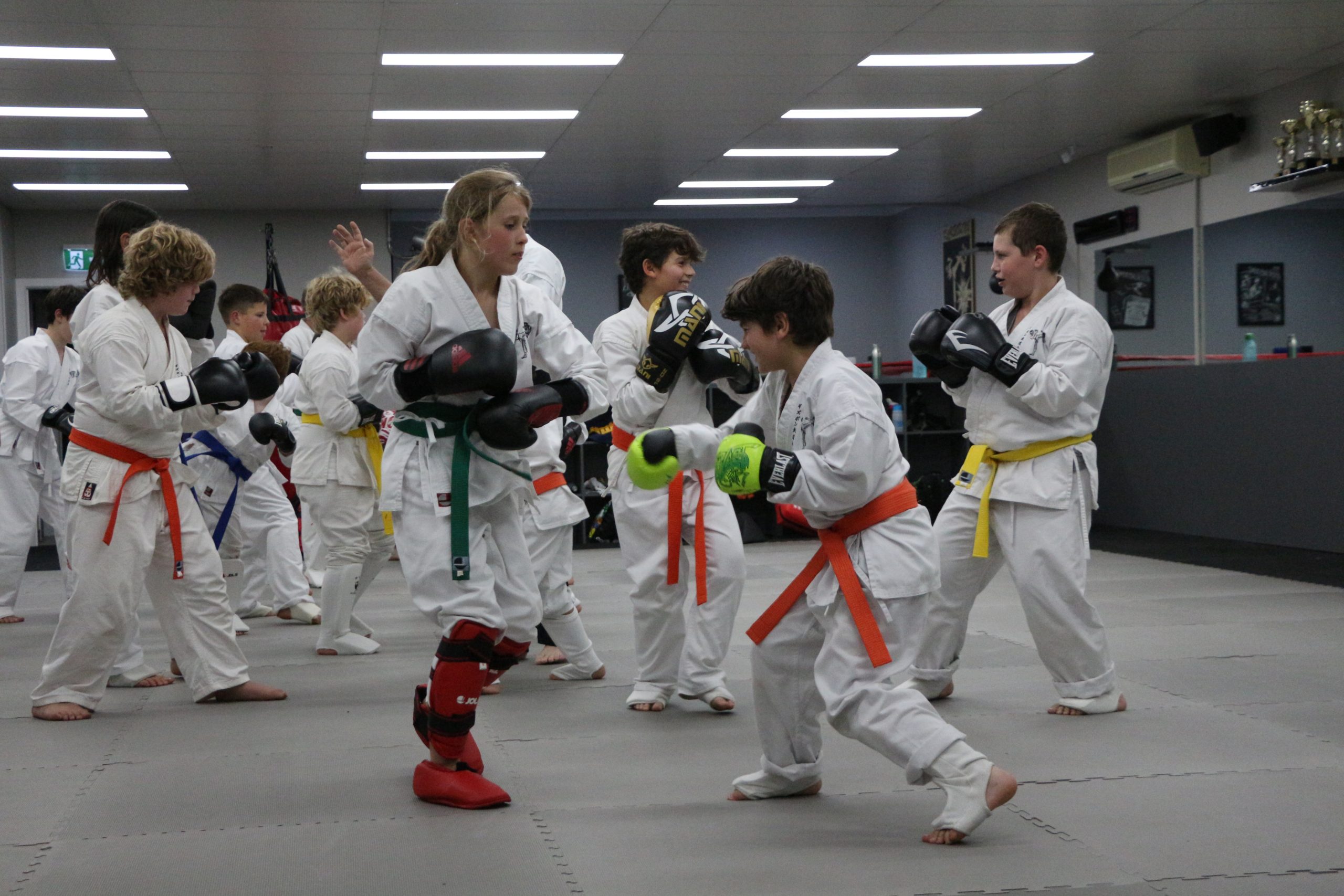Kids Mixed Martial Arts Class Gisborne